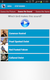 Birds of Prey Sounds Free(圖6)-速報App