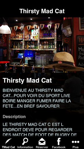 Thirsty Mad Cat