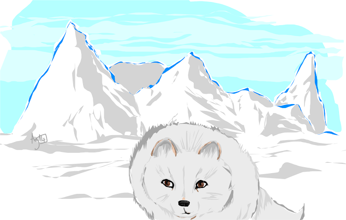 In Winter... 