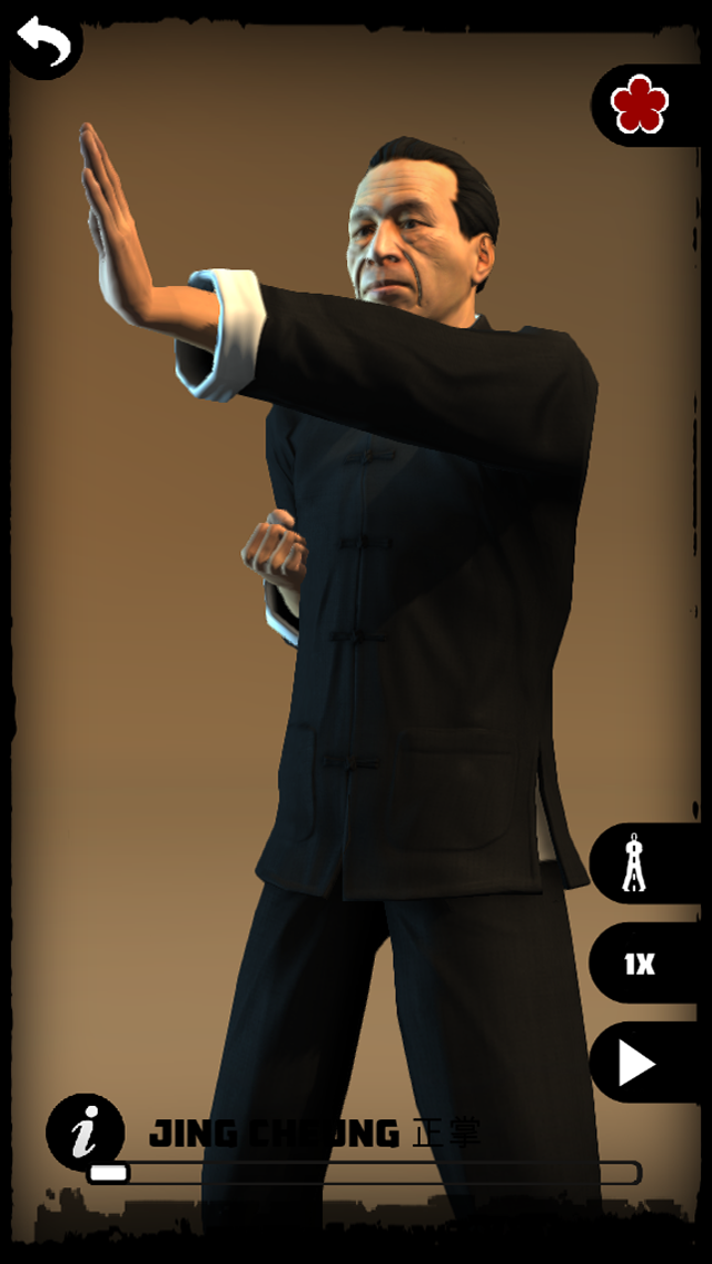 Wing Chun Kung Fu: SLT Screen 2