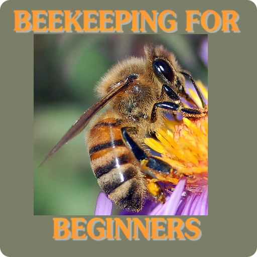 【免費商業App】Beekeeping For Beginners-APP點子