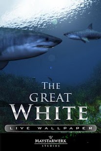 GREAT WHITE