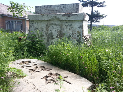 Ozerskoe, Old Japan Tomb