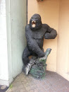 Gorilla at Trilussa