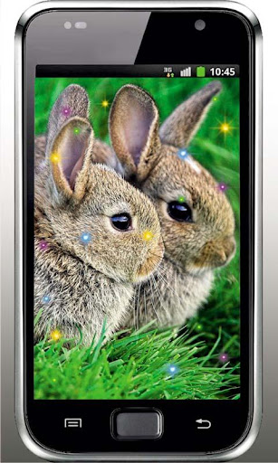 Hares Best live wallpaper