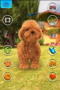 Talking Teddy Dog(圖2)-速報App