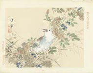 Zangvogel tussen herfstgrassen