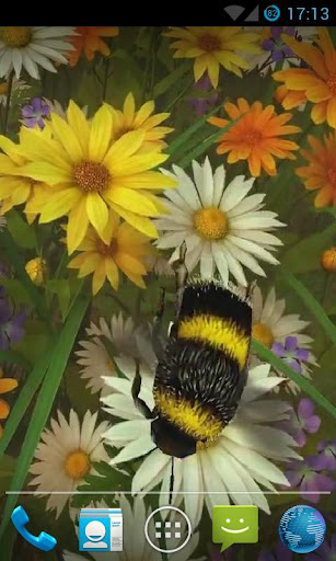 Bee Live Wallpaper HD