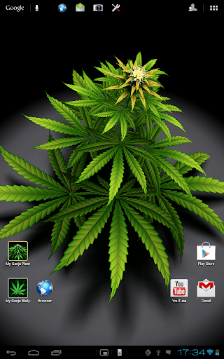 My Ganja Plant Live Wallpaper