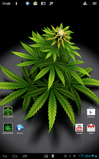 How to download My Ganja Plant Live Wallpaper 1.02 unlimited apk for bluestacks