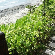斯圖亞特海洋莊園