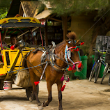 Cidomo (Cikar Dokar Motor) by Alfi Nurulhida -  