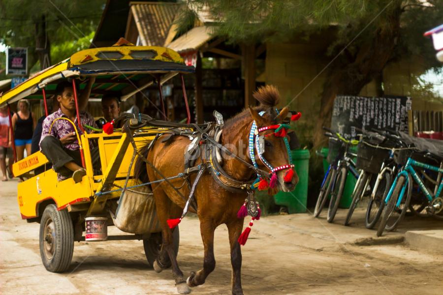 Cidomo (Cikar Dokar Motor) by Alfi Nurulhida - Transportation Other