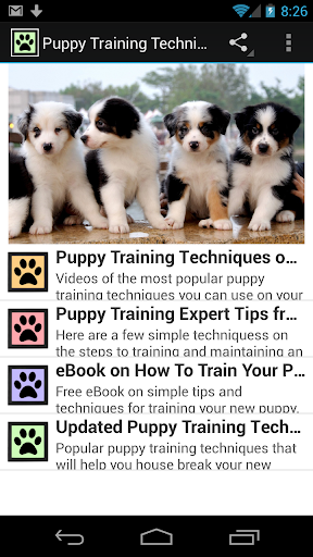 Puppy Training Techniques