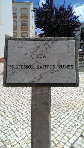 Professor Santos Nunes