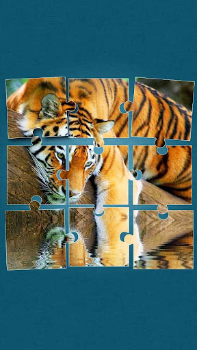 Tigers Jigsaw Puzzle
