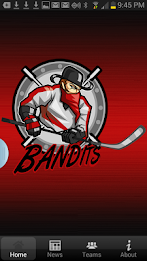 NJ Bandits poster 1