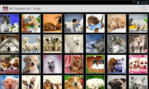 Обои Животные серия 1(圖7)-速報App