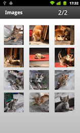 Epshot Wallpaper poster 4