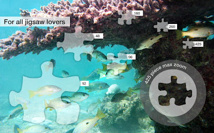 Ocean Jigsaw Puzzles Demo poster 2