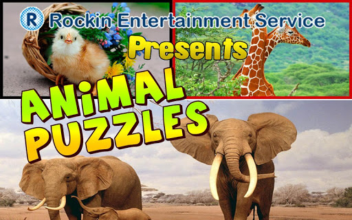 Animal Puzzles