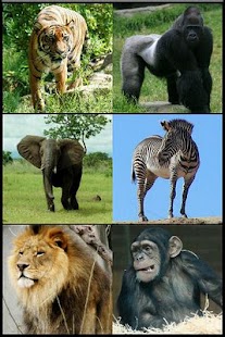 How to mod Zoo Animal Sounds Free 1.7 unlimited apk for laptop