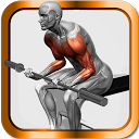 Fitness & Muscle building mobile app icon