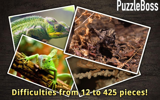 【免費休閒App】Lizard Jigsaw Puzzles-APP點子