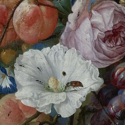 Betere Jan Davidsz. de Heem - Kunstenaars - Rijksstudio - Rijksmuseum EL-64