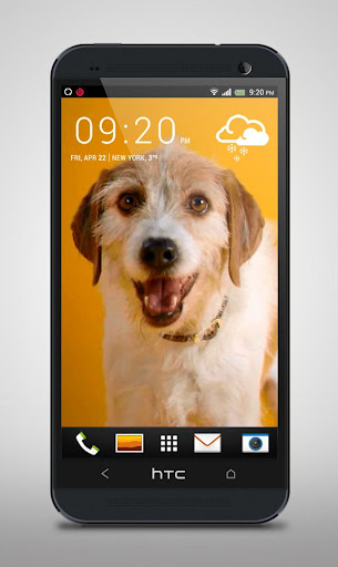 Happy Dog Live Wallpaper