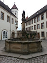 Burgbrunnen