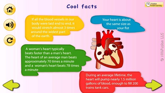 How to mod Body Organs 4 Kids patch 3 apk for pc