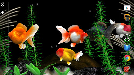 Gold Fish 3D(圖1)-速報App