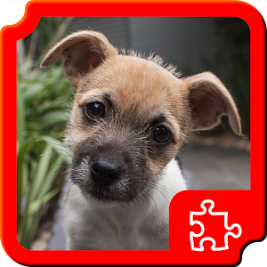 Puppies Puzzles.apk 1.4.0