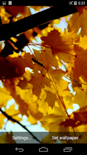 Autumn Video Wallpaper - screenshot thumbnail