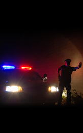 TF: Police Lights poster 6