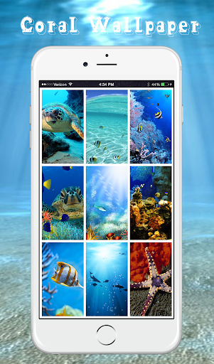 【免費個人化App】珊瑚壁纸-APP點子