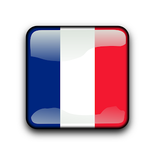 How to mod Learn French Fast 2.0 mod apk for pc