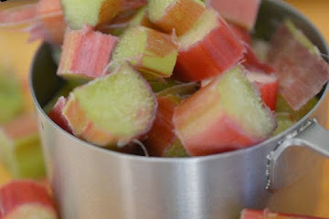 Frozen Rhubarb Slush