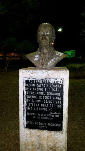Busto Neyton De Souza