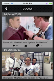 Starworld Martial Arts by Helix Mobile Marketing poster 2