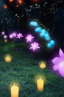 How to mod wonder forest LWP [FL ver.] 1.2 apk for laptop