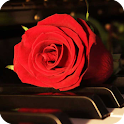 Romantic Theme Wallpaper logo