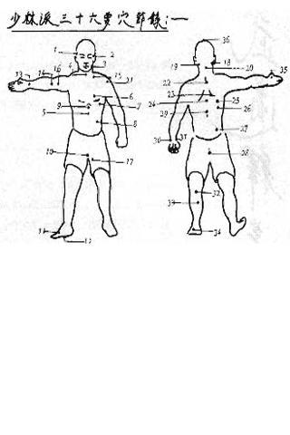 Tao Jeet Kune Do Pdf