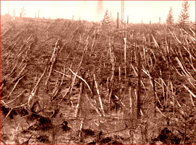 [Tunguska[2].jpg]