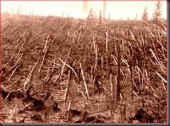 Tunguska