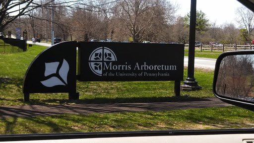Morris Arboretum