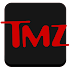 TMZ2.4.1
