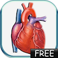 Blood Pressure lite by Ing. Victor Michel Gonzalez Galvan Apk