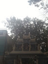 Sri Gangai Amman Temple